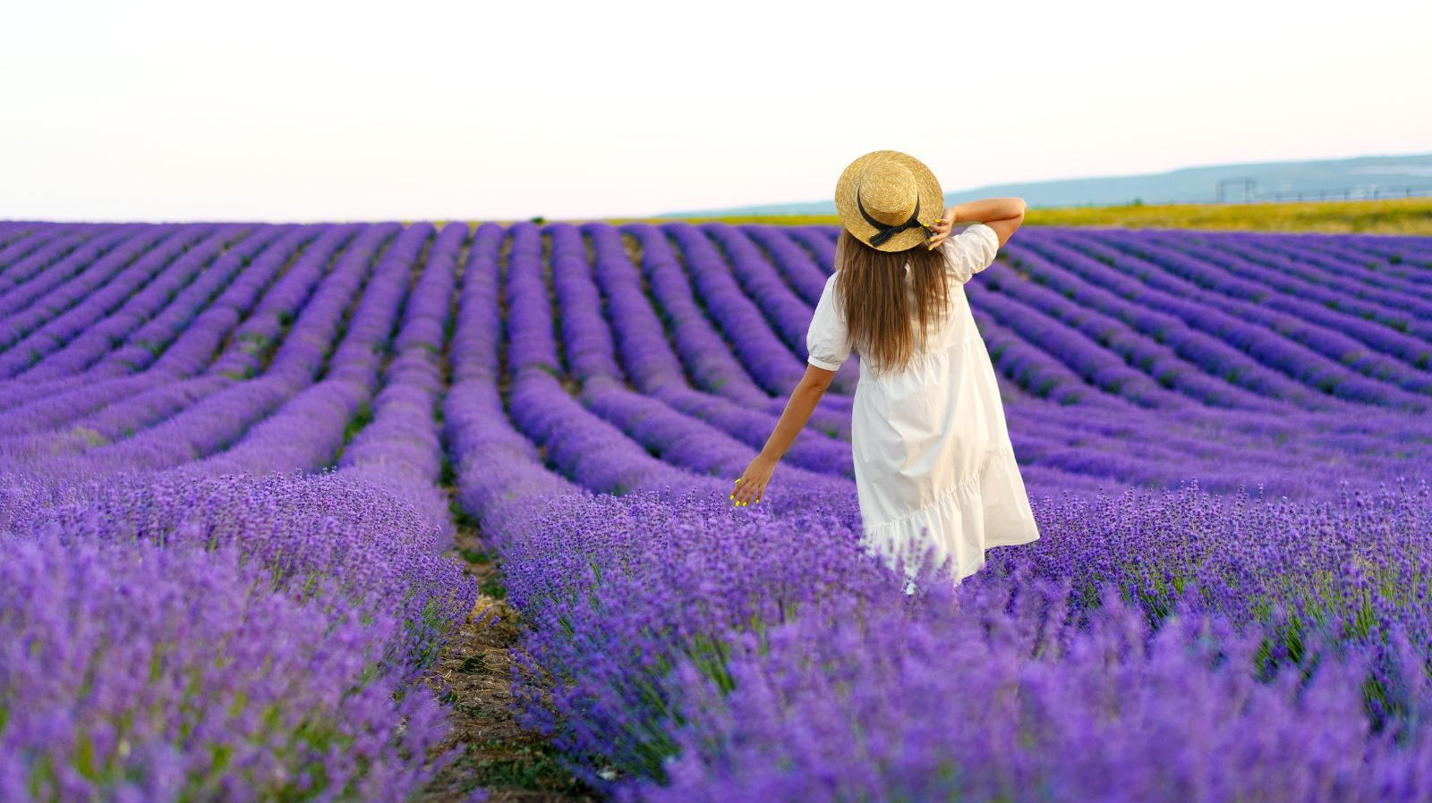 Scent Spotlight: Lavender Candle Scents for Relaxation at Home