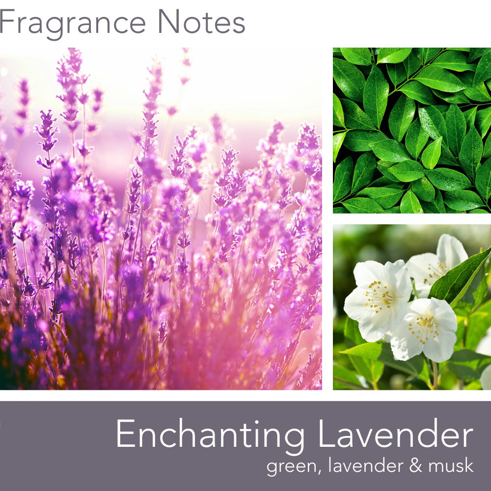 Fragrance_Notes_Enchanting_Lavender