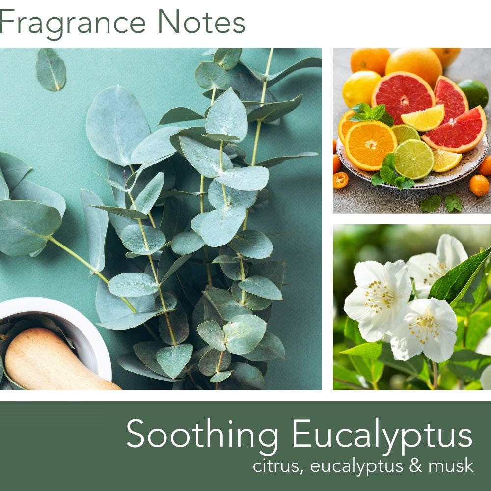 Fragrance_Notes_Soothing_Eucalyptus
