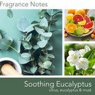 Fragrance_Notes_Soothing_Eucalyptus
