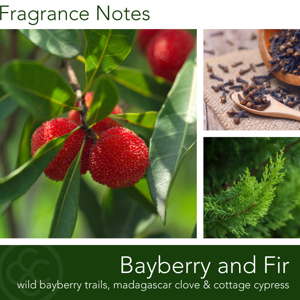 FragranceNotes_bayberry&Fir_candle