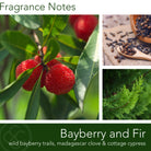 FragranceNotes_bayberry&Fir_candle