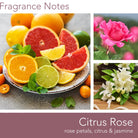 Fragrance_Notes_Citrus_Rose_Candle