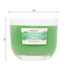 CoastalPalms_freshens_candle