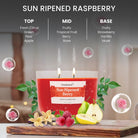 Fragrance_Notes_SunRipedBerr_candle