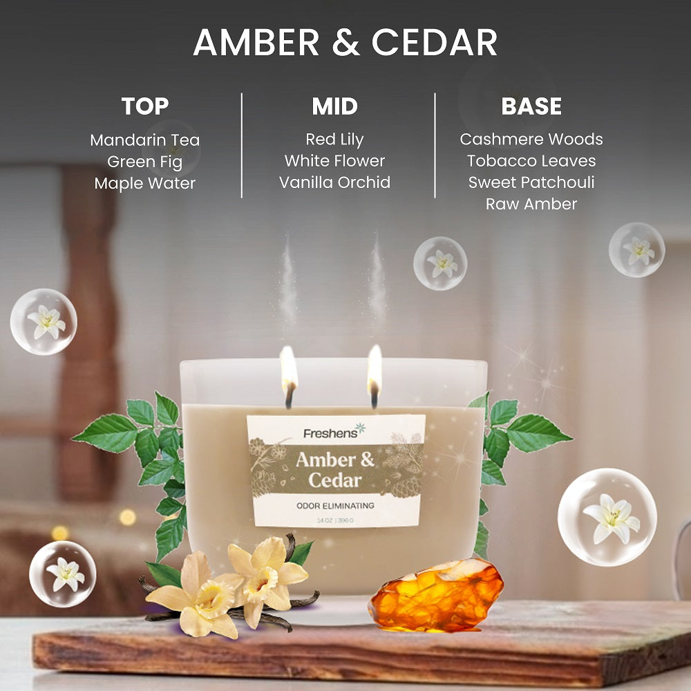 Fragrance_Notes_Amber&Cedar_candle