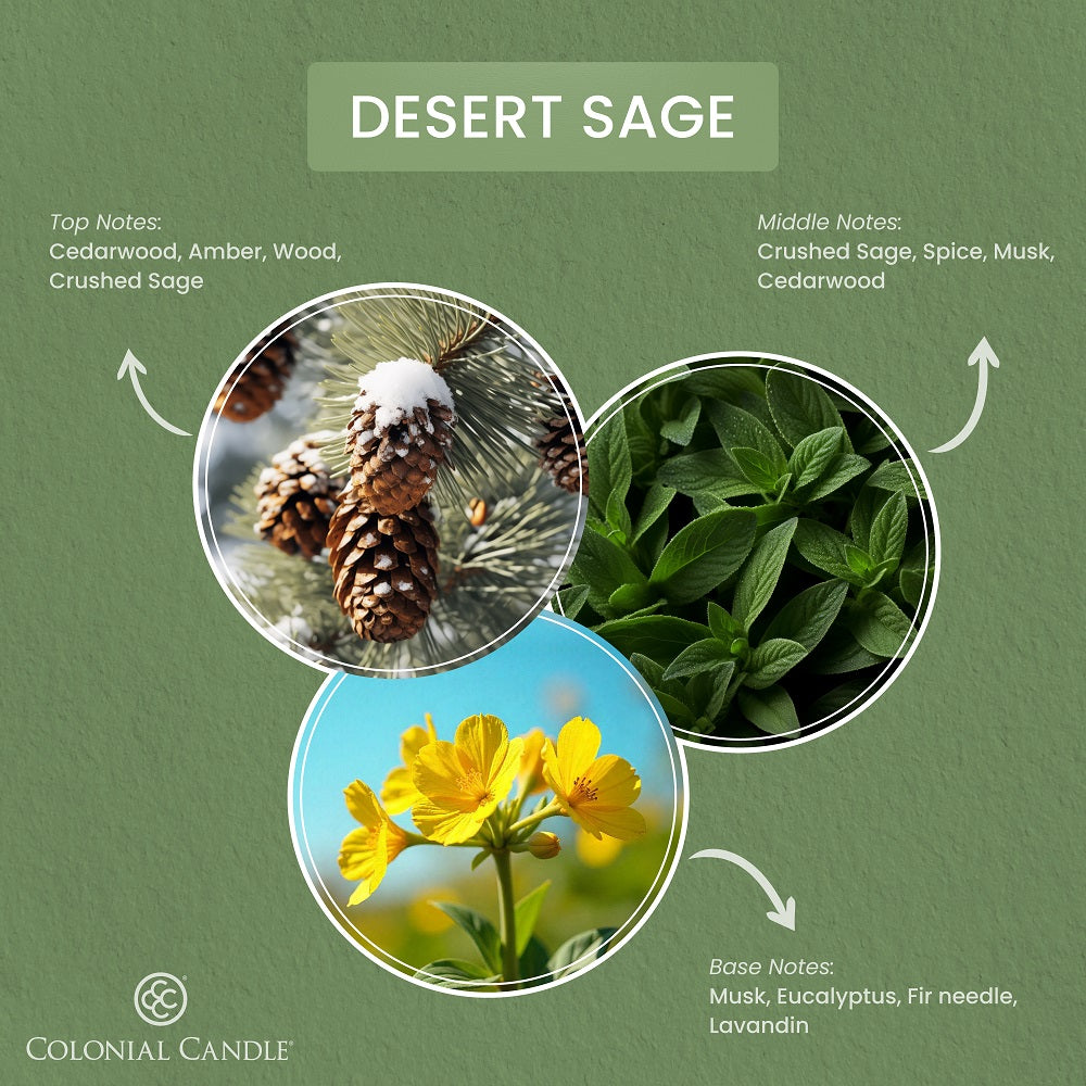 Desert_Sage_Fragrance_Notes