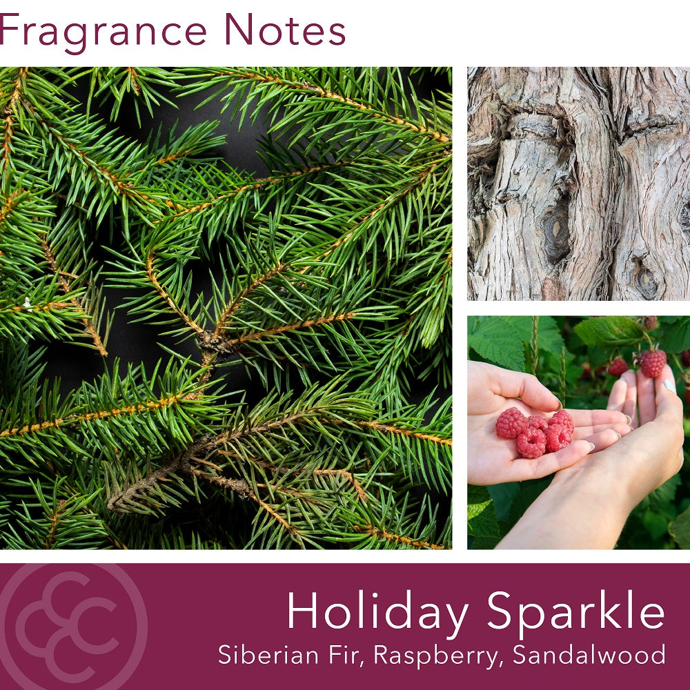 Holiday Sparkle, 19oz