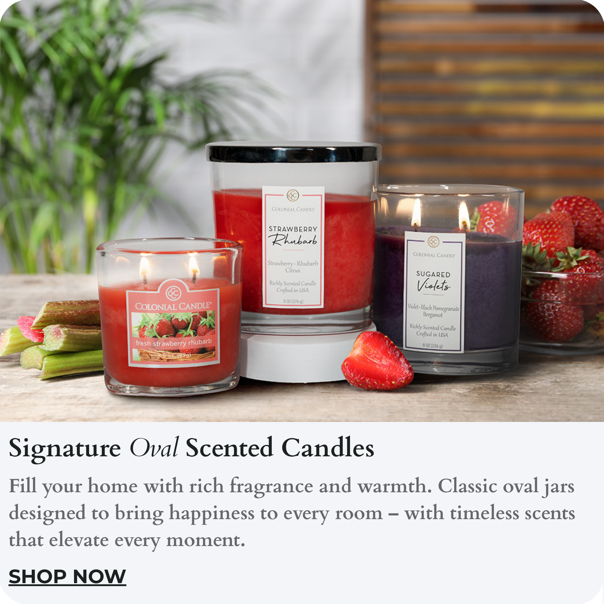 Classic Oval jars candle representative group image.  Clicking takes one to the collection page