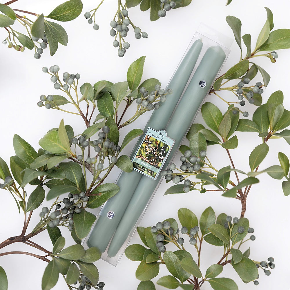 Bayberry Candle