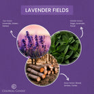Fragrance_Notes_LavenderFields_candle