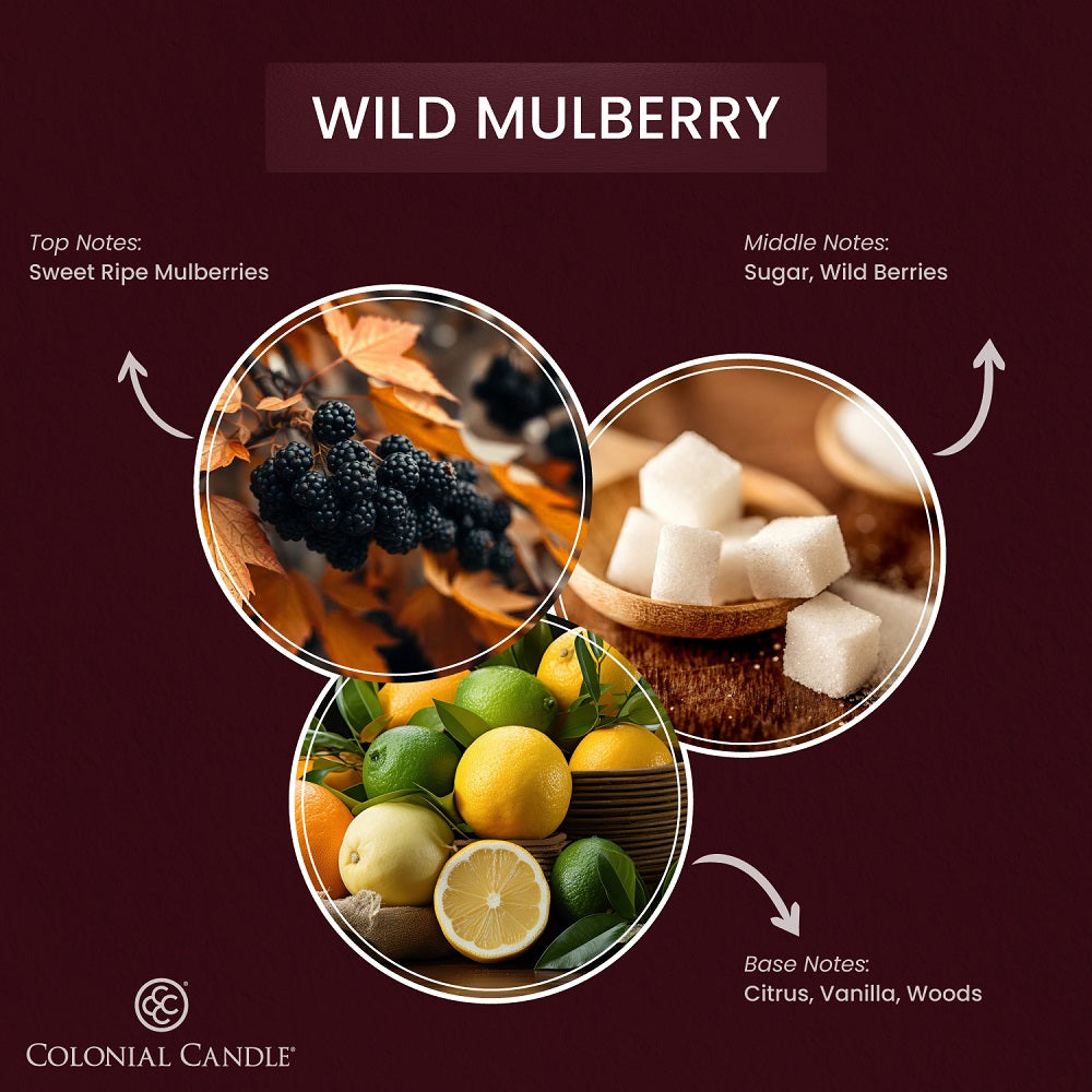 Fragrance_Notes_wild_mulberry_candle