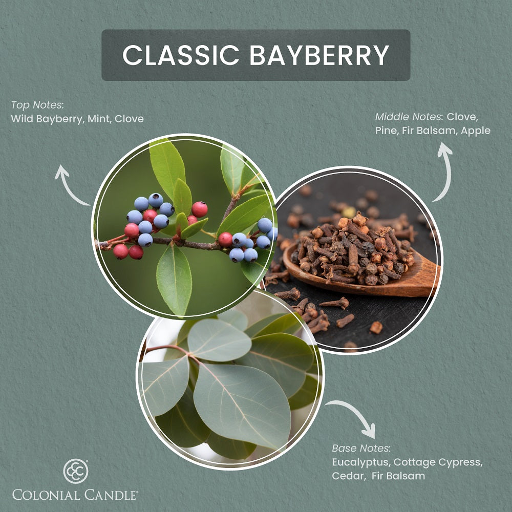 Fragrance_Notes_classic_bayberry_candle