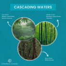FragranceNotes_Cascading_Waters