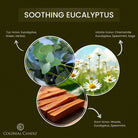 Fragrance_Notes_soothing_eucalyptus_candle
