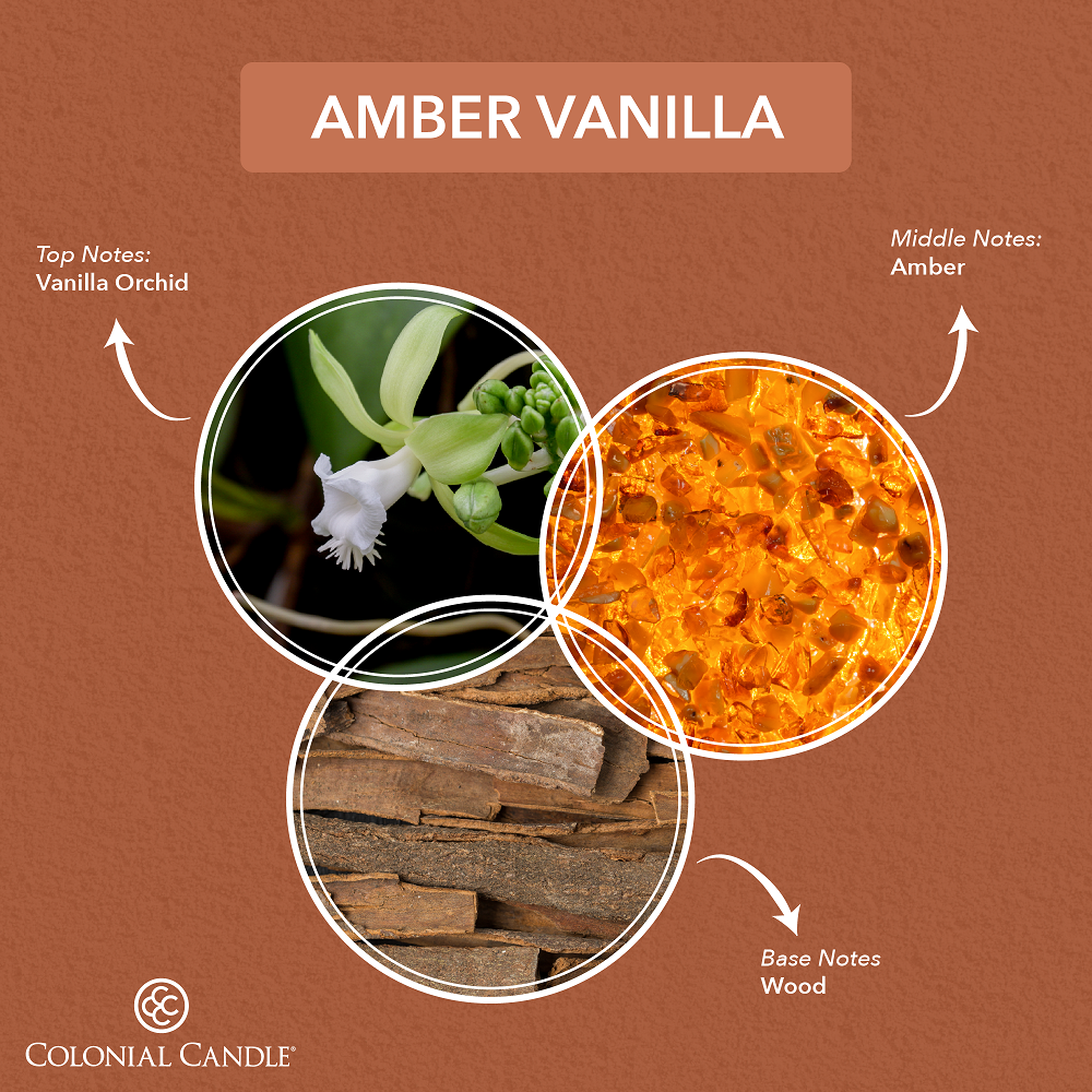 Diagram of Amber Vanilla fragrance with vanilla orchid, amber, and wood elements on a brown background.
