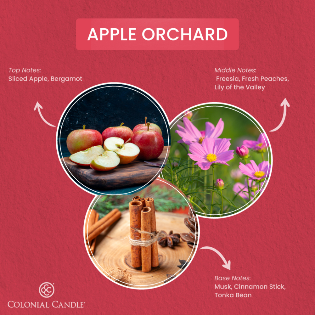 _FragranceNotes_apple_orchard_candle