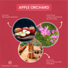 _FragranceNotes_apple_orchard_candle