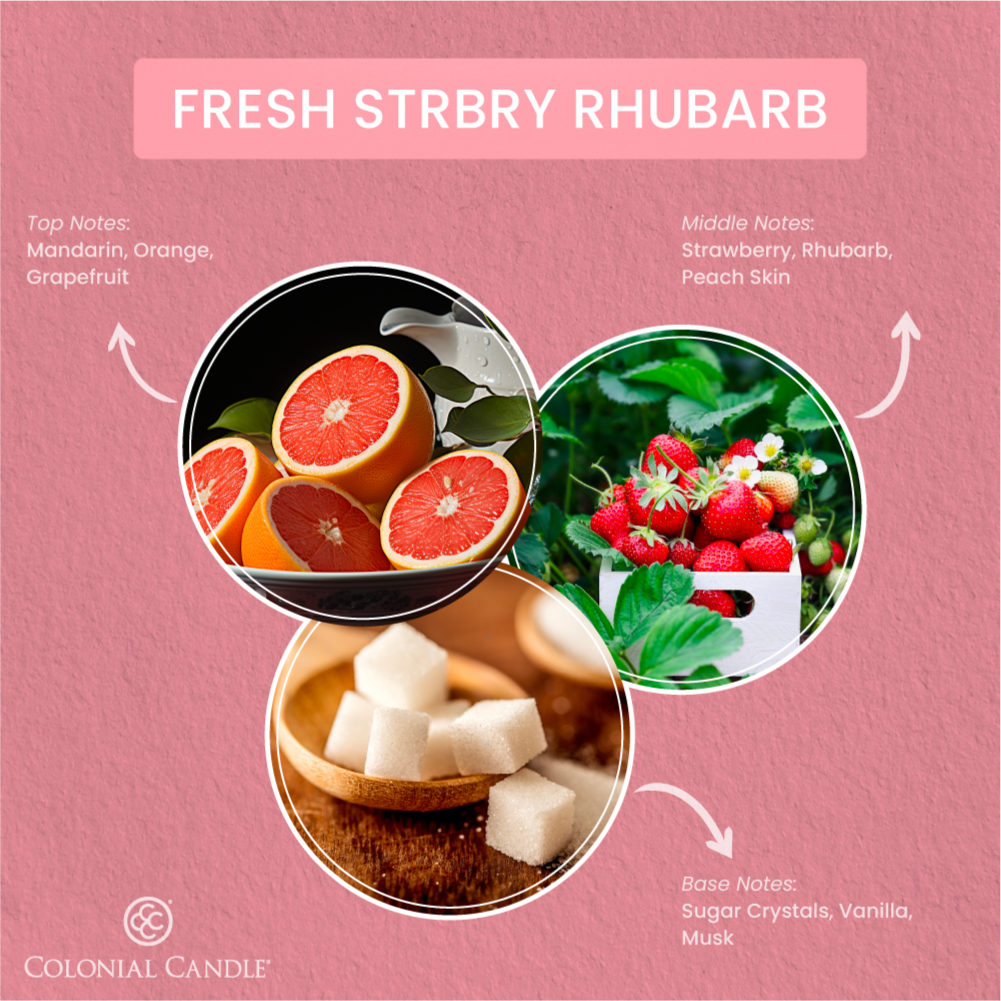 Fragrance Notes fresh rhubarb candle