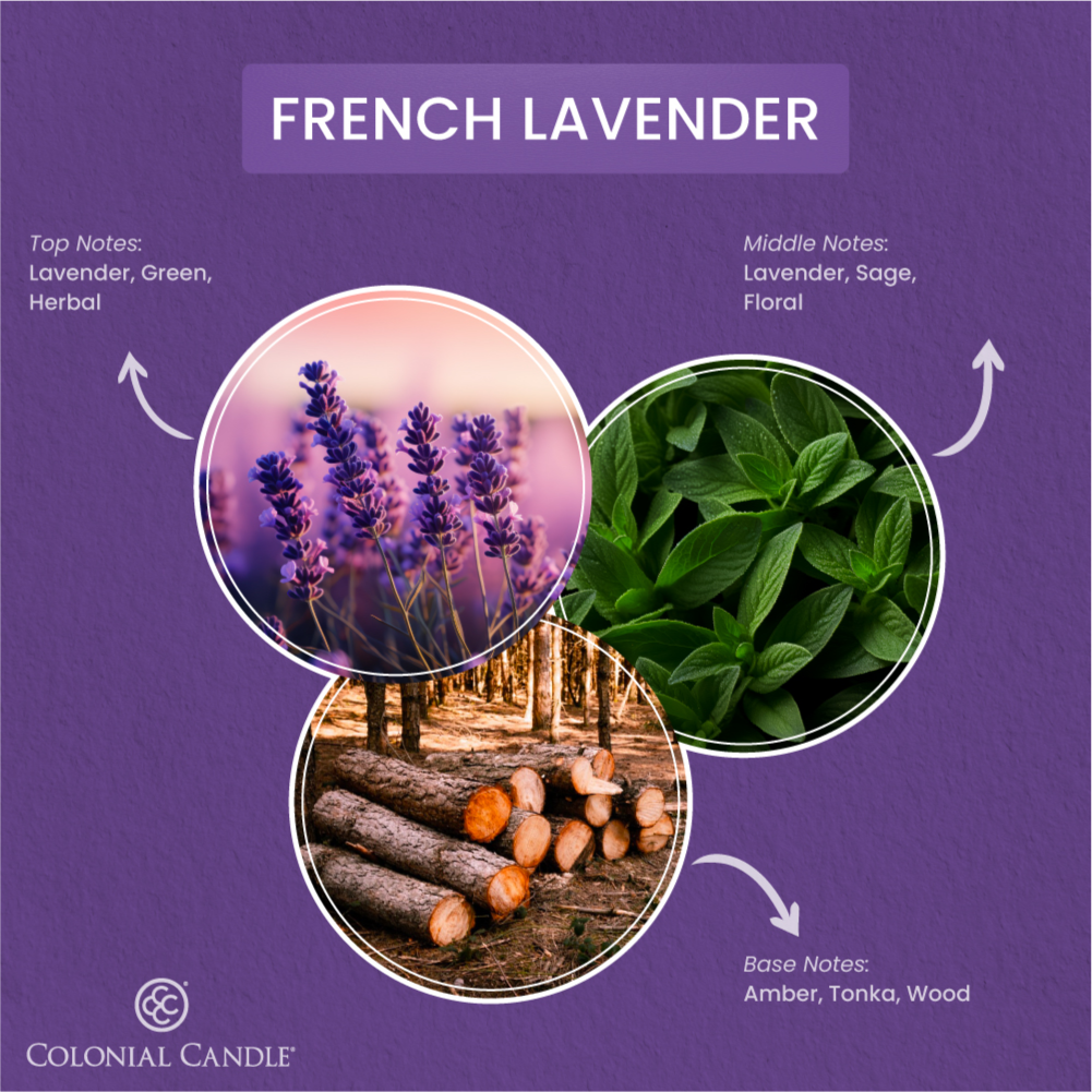 FragranceNotes_french_Lavender_candle
