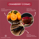 _FragranceNotes_cranberry_cosmo_candle