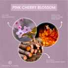 _FragranceNotes_pink_cherry_blossom_candle
