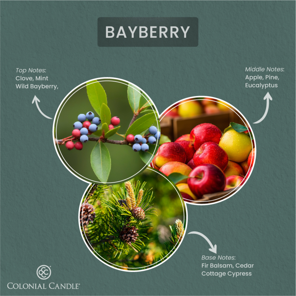 _FragranceNotes_bayberry_candle