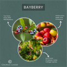 _FragranceNotes_bayberry_candle