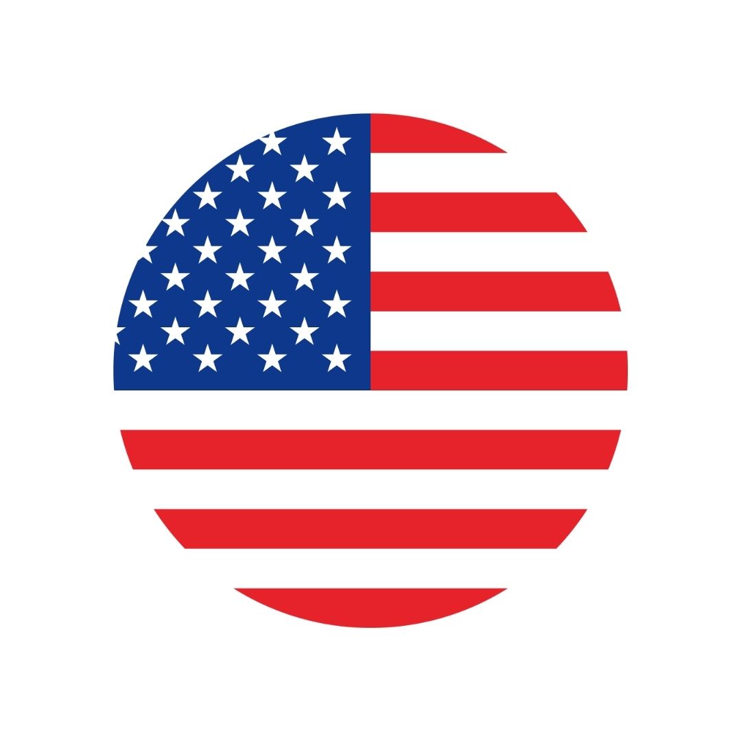 USA flag Icon