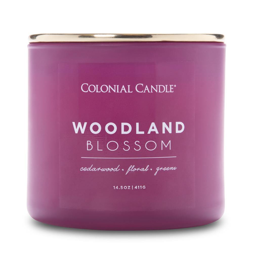 Pop of Color Scented Jar Candle, Woodland Blossom, 14.5 oz, Single - Colonial Candle