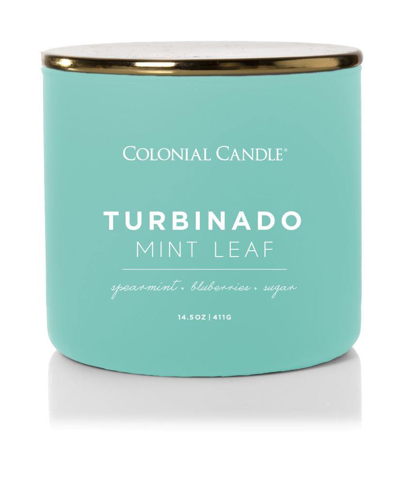 Pop of Color Scented Jar Candle, Turbindo Leaf, 14.5 oz, Single - Colonial Candle