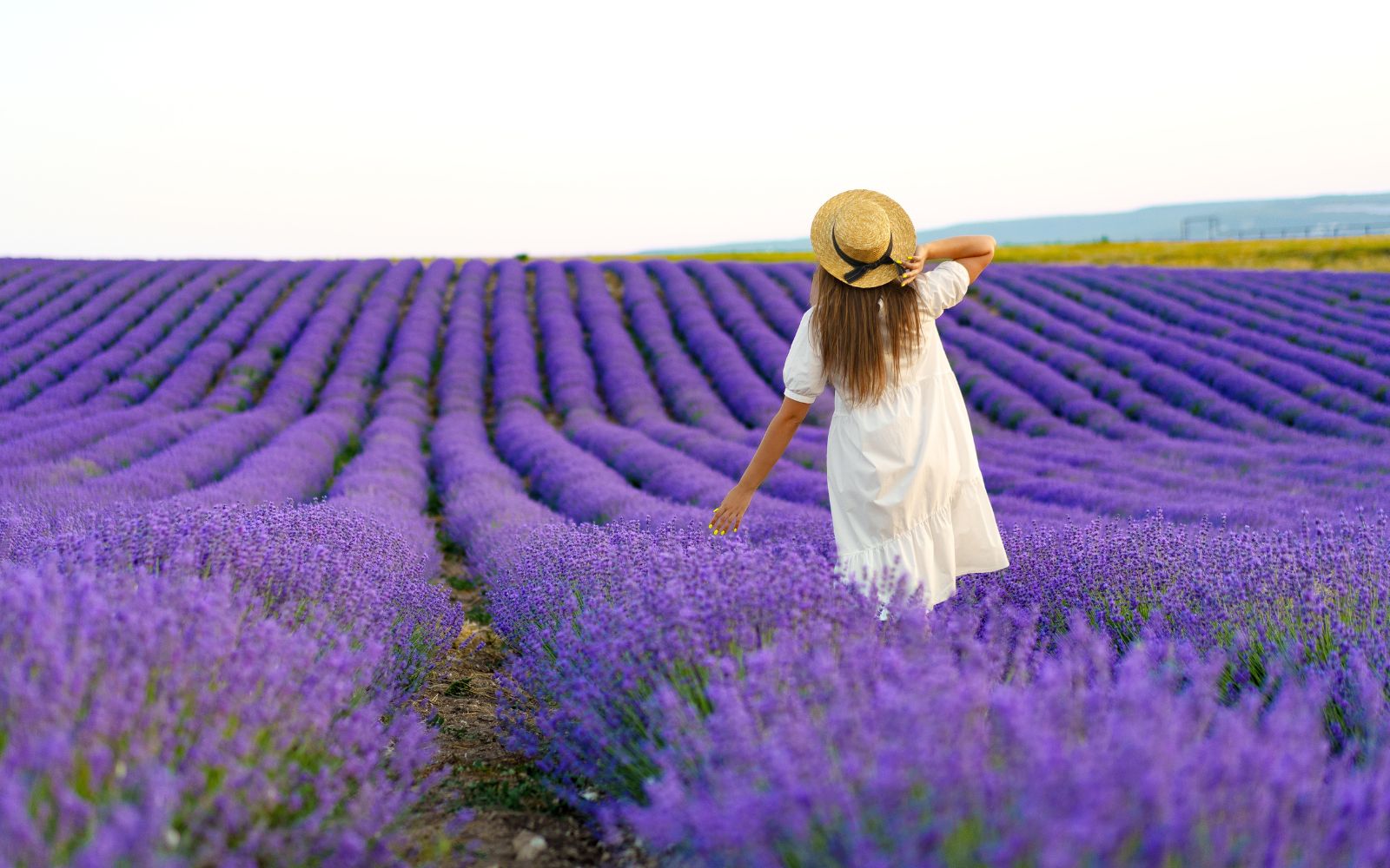 Scent Spotlight: Lavender Candle Scents for Relaxation at Home