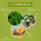 Cucumber Melon - Top Notes: Orange Zest, Sparkling Grapefruit and Watery Greens. Middle Notes: Crisp Cucumber, Honeydew and Cantaloupe. Base Notes: Sheer Woods and Musk