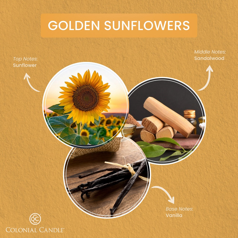 Infographic about 'Golden Sunflowers' fragrance with sunflower, sandalwood, and vanilla elements on a brown background.