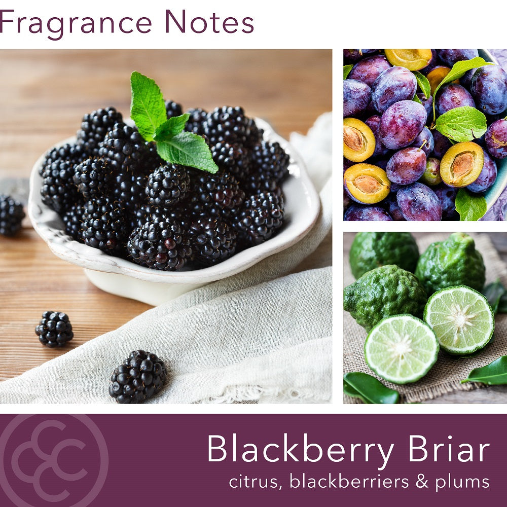 Blackberry Briar Scented Jar Candle, 14 oz, M. Baker Collection