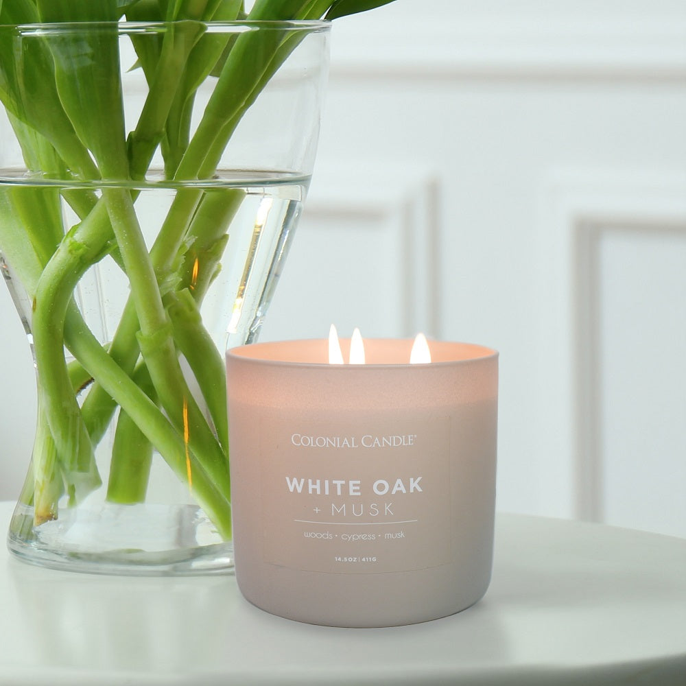 White Oak & Musk premium scented 3-wick candle | Spring 2026