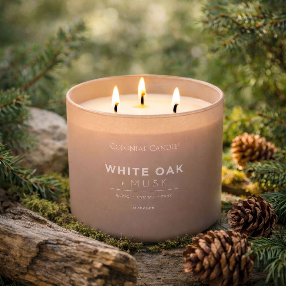 White Oak & Musk premium scented 3-wick candle | Spring 2026