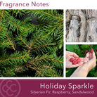 Holiday Sparkle, 19oz 