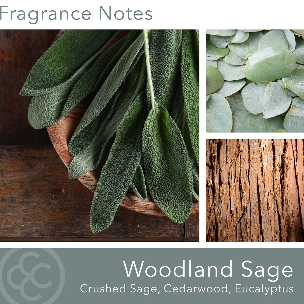Woodland Sage, 22oz
