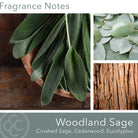 Woodland Sage, 22oz