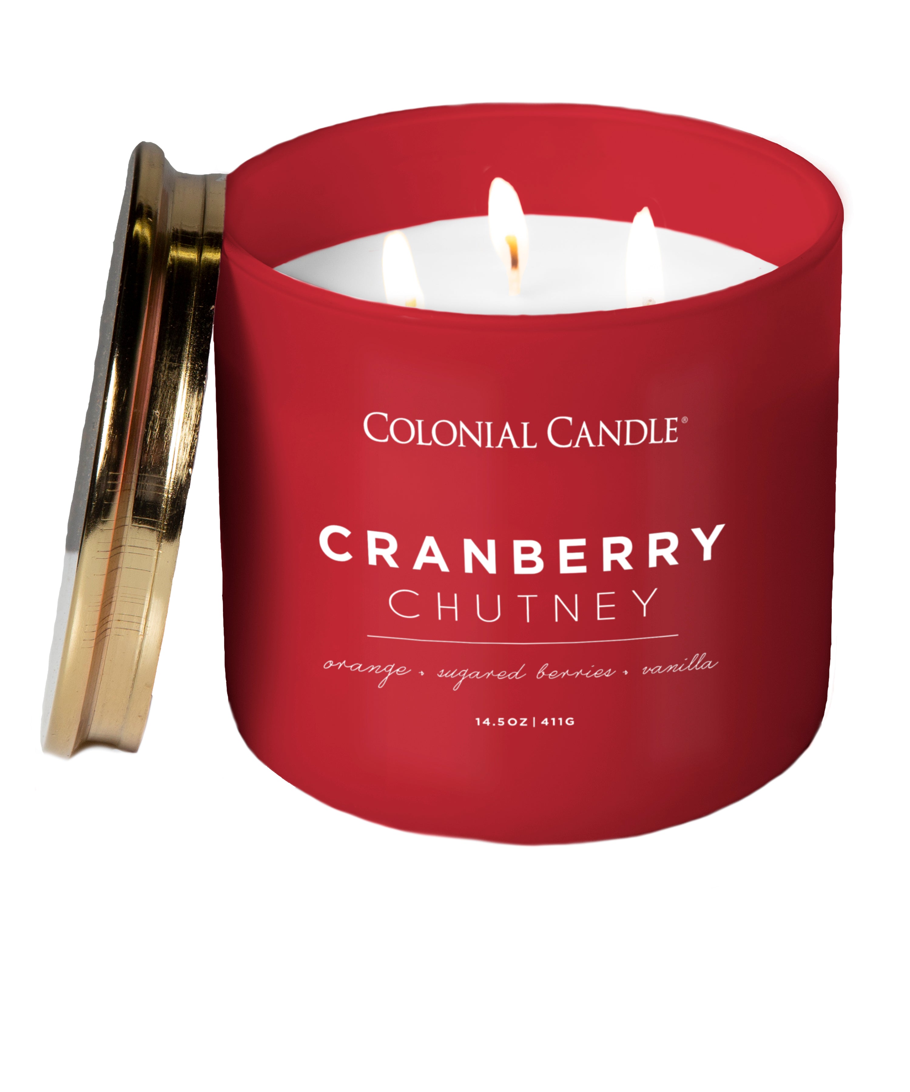 Yankee Candle CRANBERRY CHUTNEY Fragranced Wax Melts - New