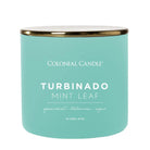 Pop of Color Scented Jar Candle, Turbindo Leaf, 14.5 oz, Single - Colonial Candle