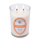 Mango Salsa Candle, Heritage Collection, Colonial Candle