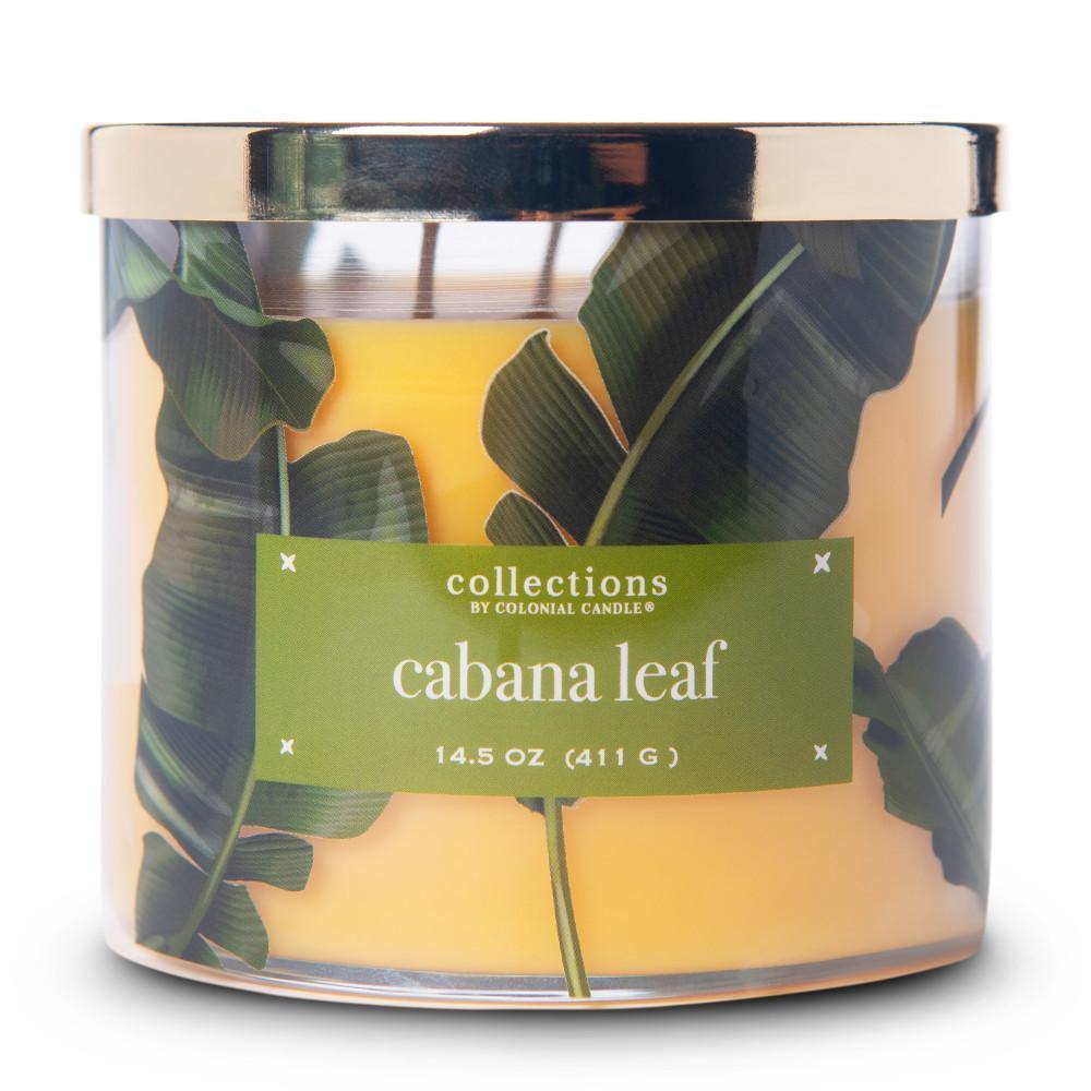Collections by Colonial Candle, Tropical Collection, 14.5oz, Cabana Leaf - Colonial Candle
