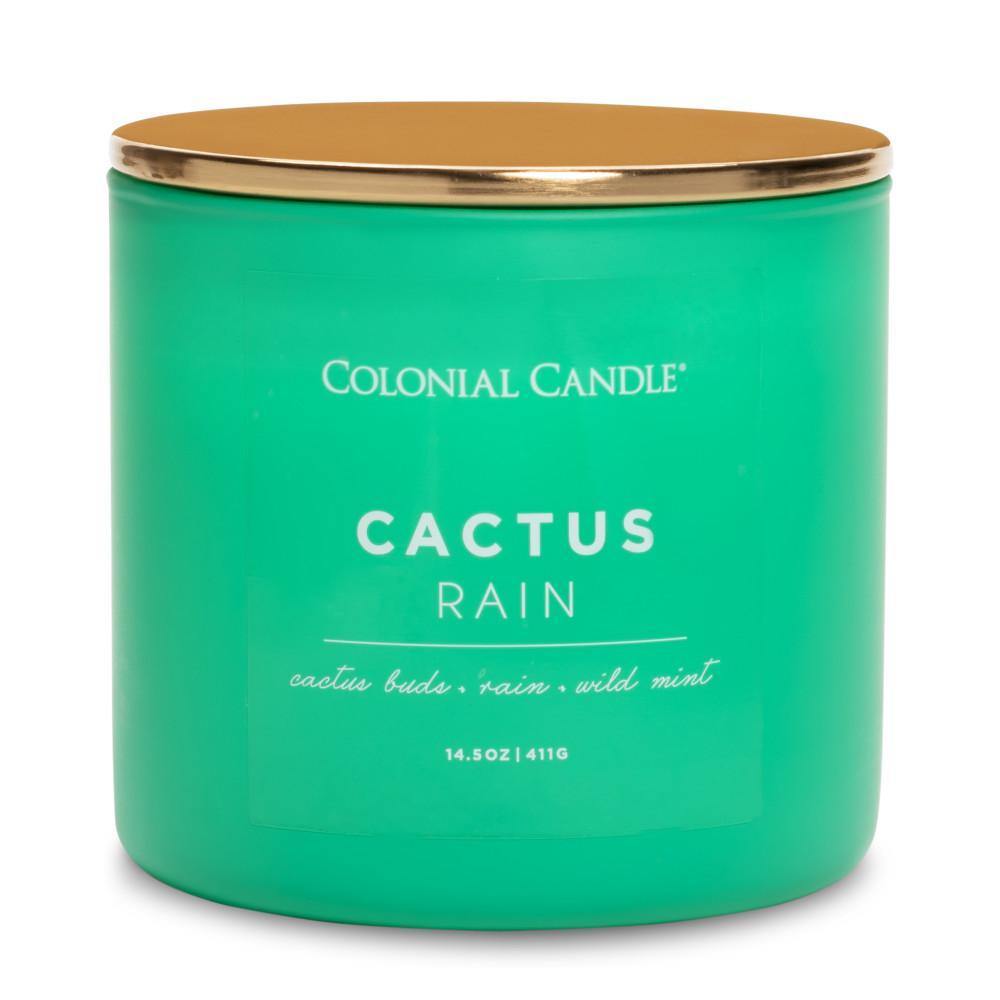 Cactus Rain Jar Candle